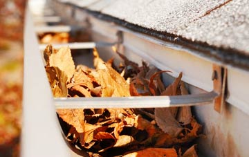 Speckington gutter cleaning companies